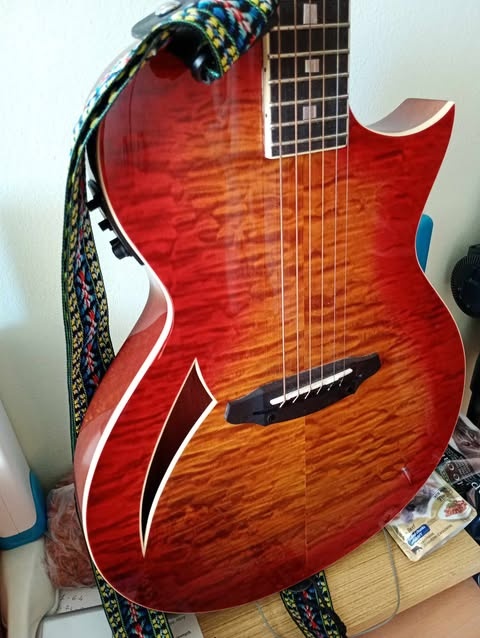 predam LTD ESP TL6 - 2