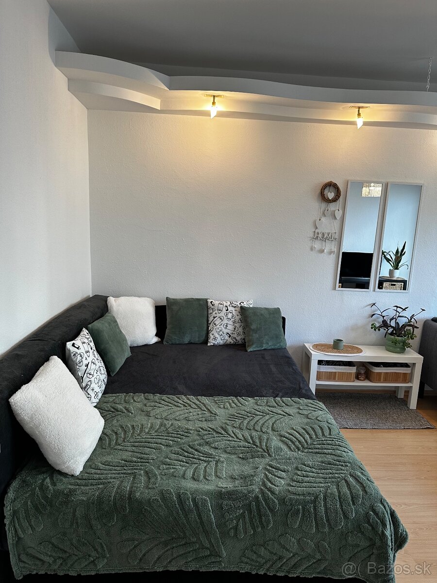 Veľký 1 izbový byt A trajana - 2