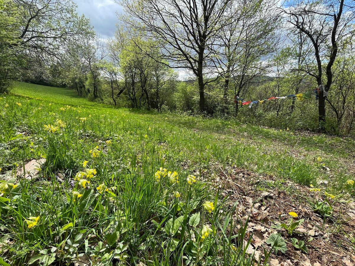 Predam zahradu Nova Bosaca - 2