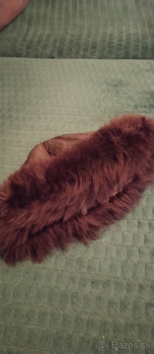 Baranica dámska - 2