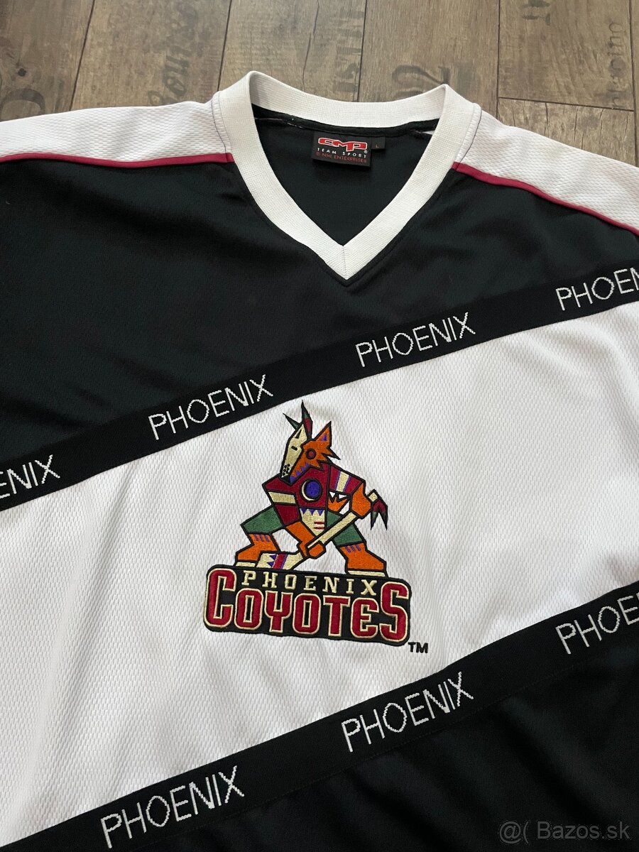 Phoenix Coyotes - 2