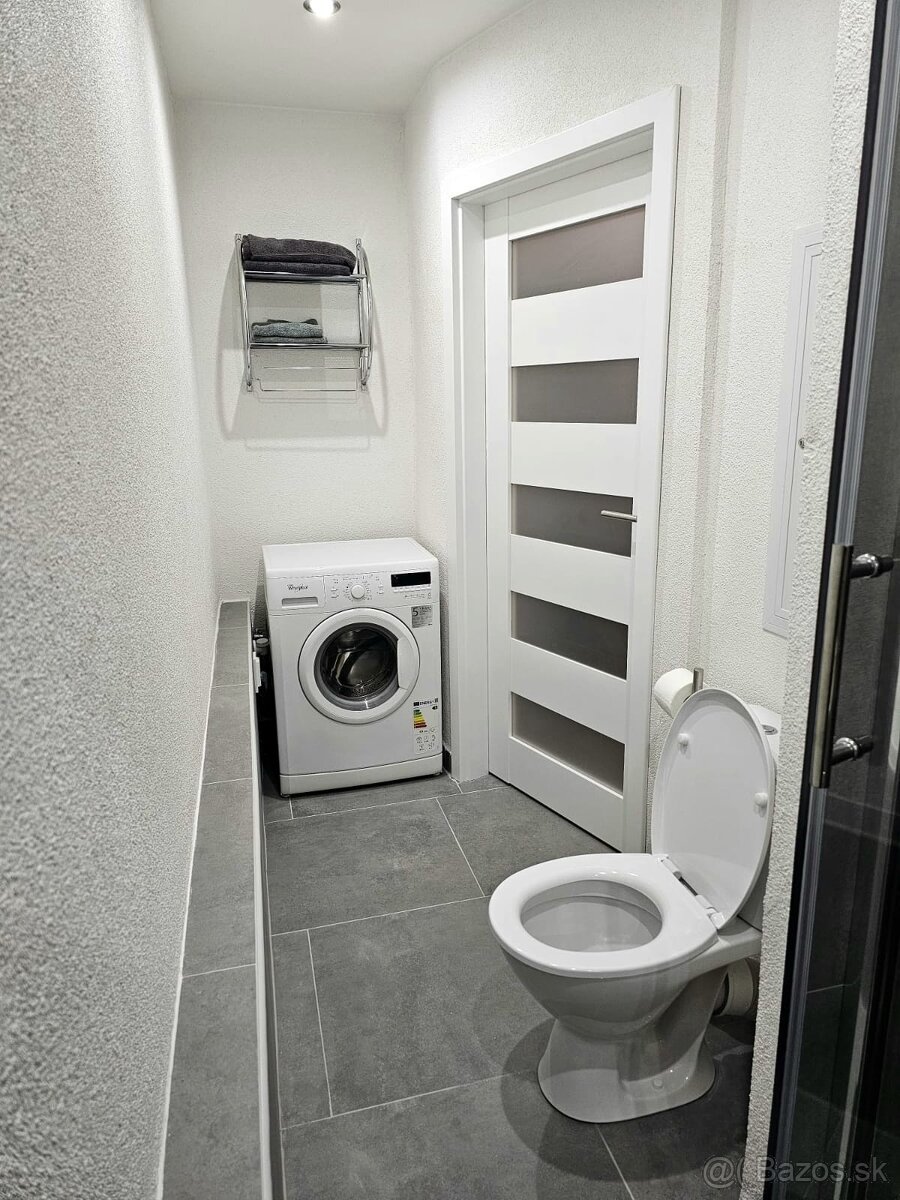 Prenájom 1 izbový byt - 2