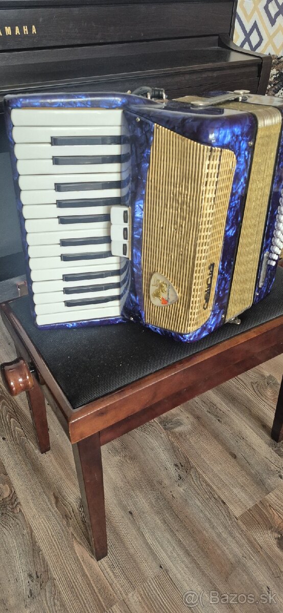 Harmonika delicia 48 basov - 2