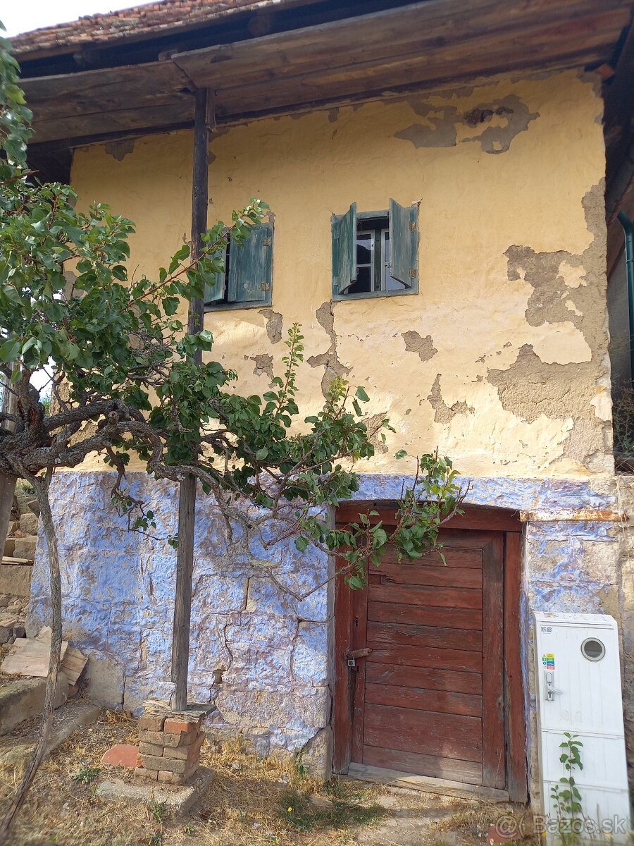 Viničný domček s vinicou - 2