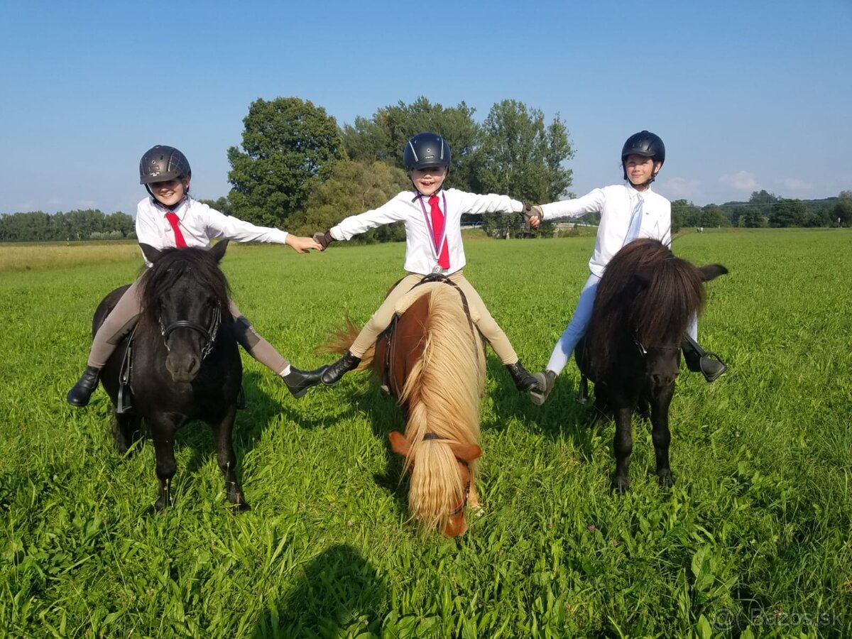 Nejlepší první pony pro dítě - 2