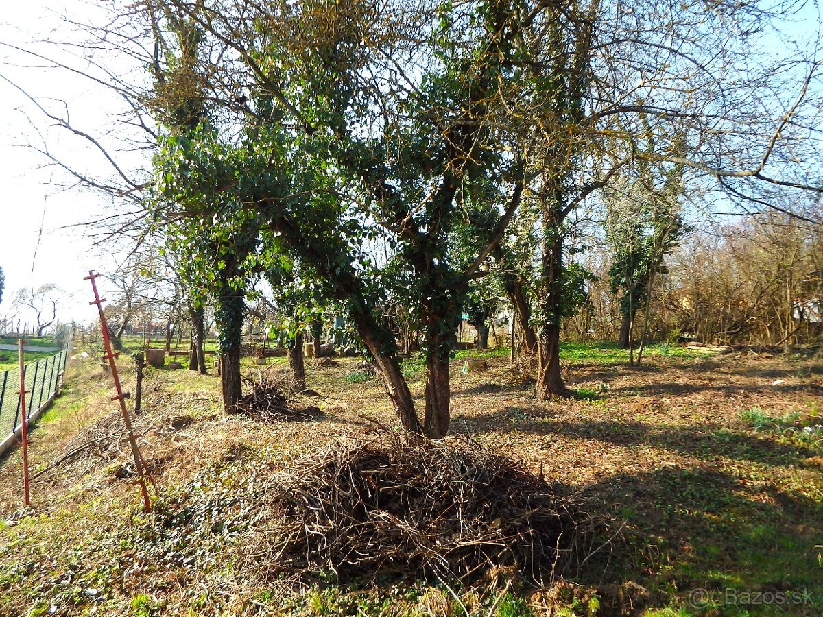 Záhrada nad Karpatskou ulicou - 2