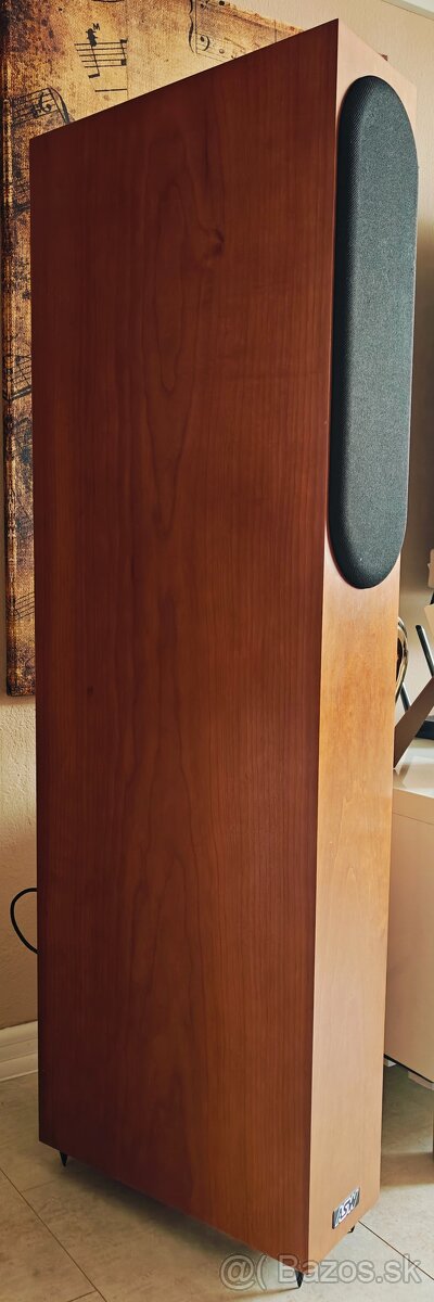 ASW genius reference 300 - 2
