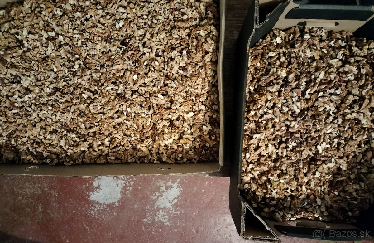 vlašské orechy - 2