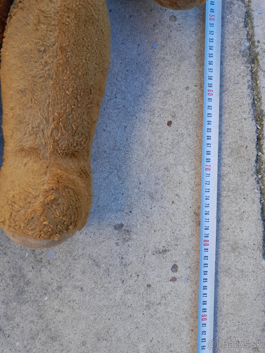 Predám 70 ročného medveďa - 2