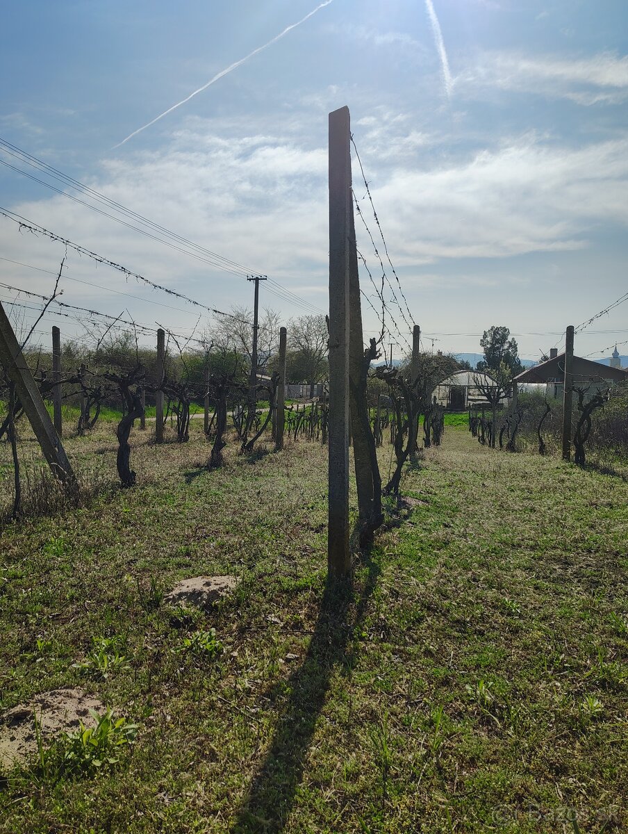 Pozemok v srdci vinárskej obci Moča, KN Lepšia cena - 2