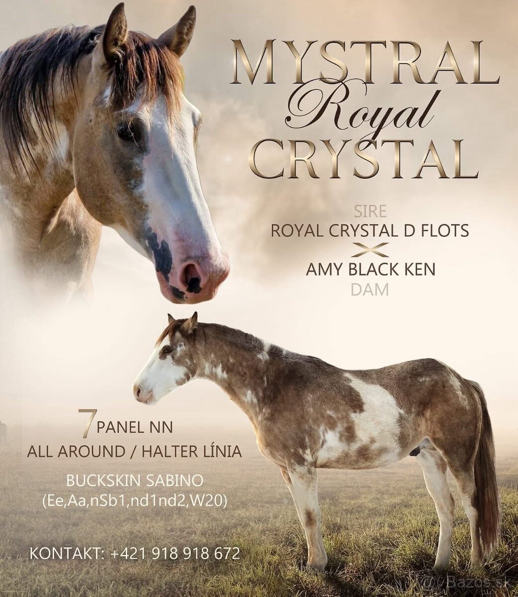 Zrebce Pripúšťanie - 2