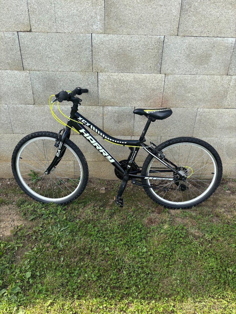 Detsky bicykel HARRY - 2