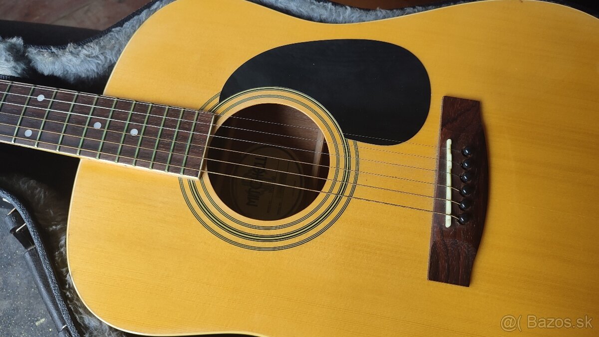 Gitara Mitchell MD 100 s púzdrom - 2