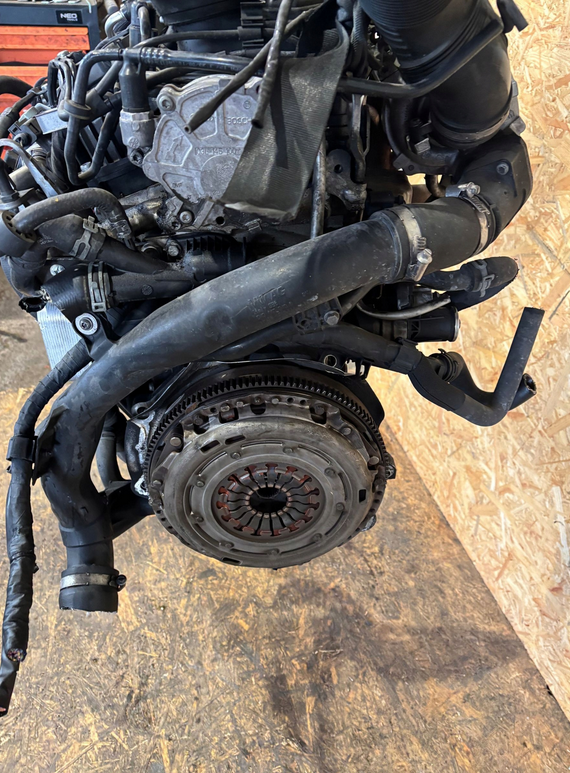 VW Tiguan 5N0 2008- 2.0 Tdi motor CFF - 2