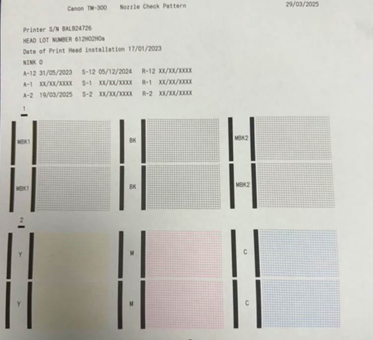 Canon ImagePROGRAF TM-300 - 2