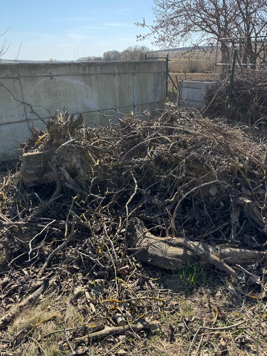 Darujem drevo za odvoz - Paňovce - 2