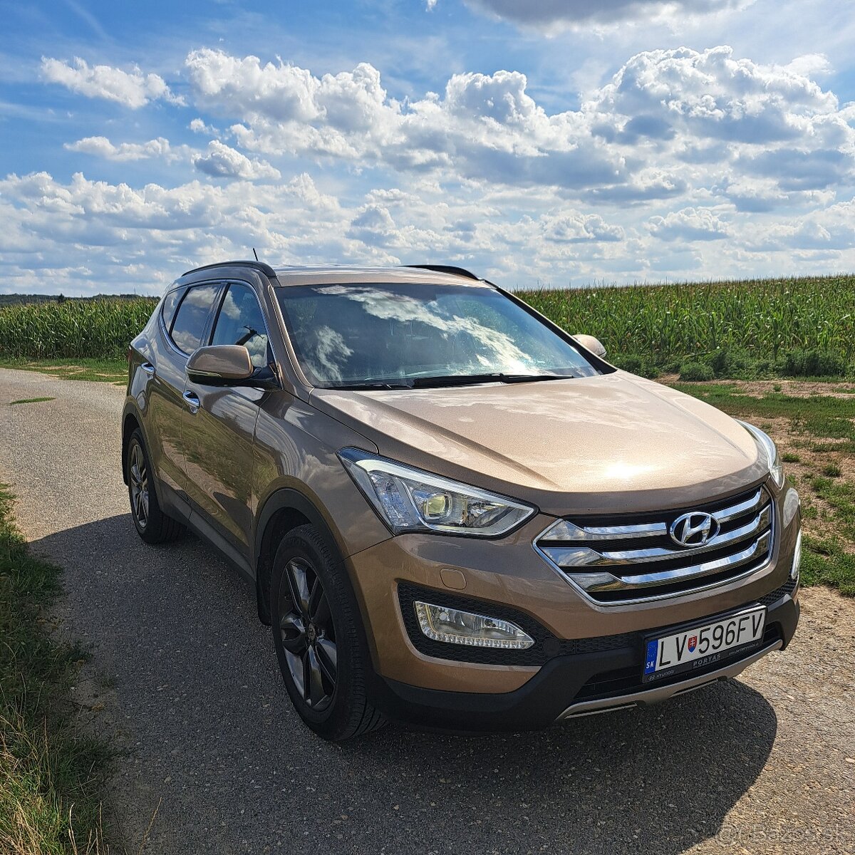 Hyundai Santa Fe - 2