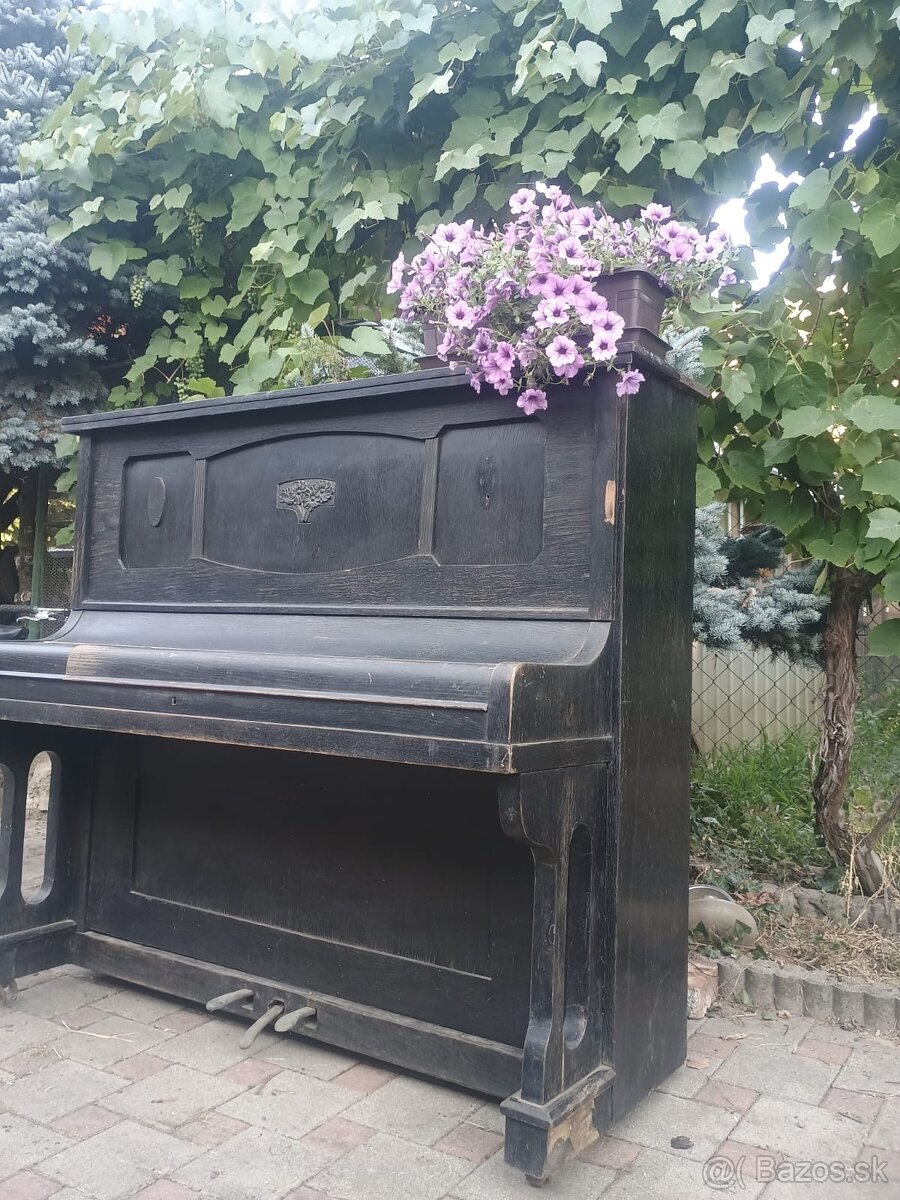 Staré harmonium - 2