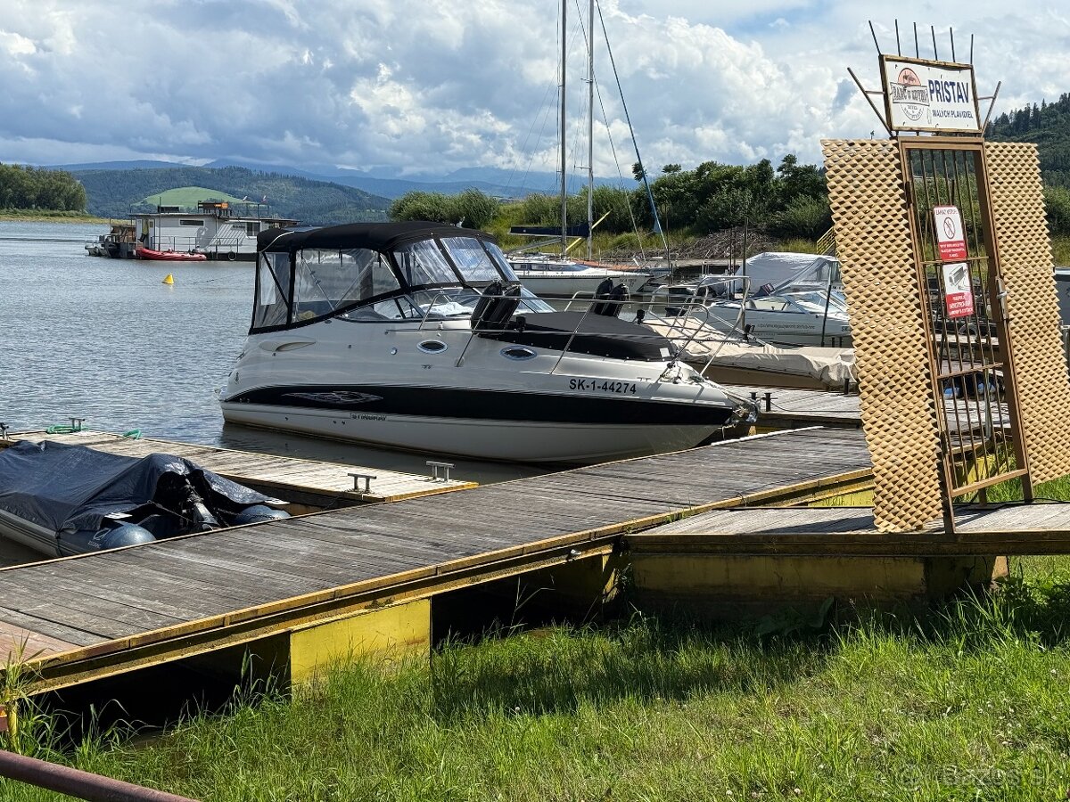 STINGRAY 250CS + príves - 2