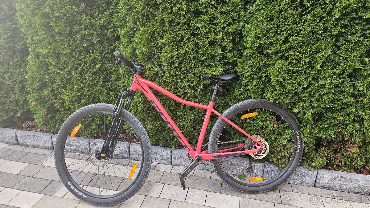 Scott Contesa - 2
