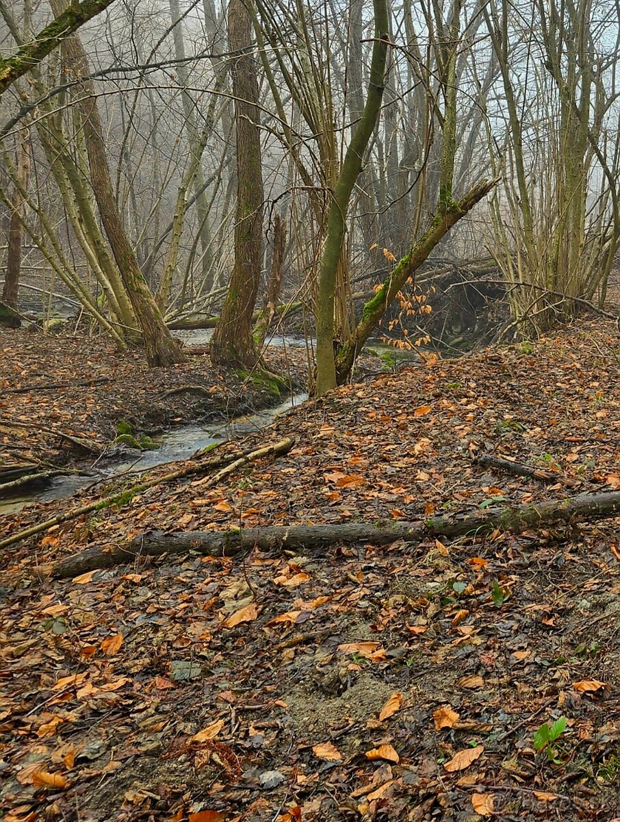 Pozemok Turčianske Kľačany - 2