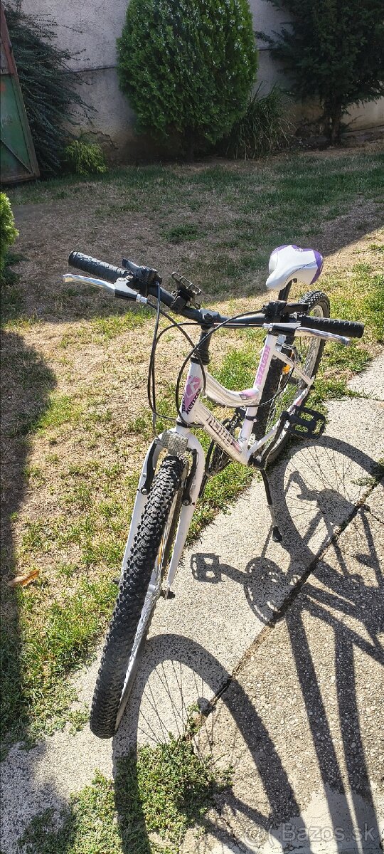 Dámsky bicykel - 2