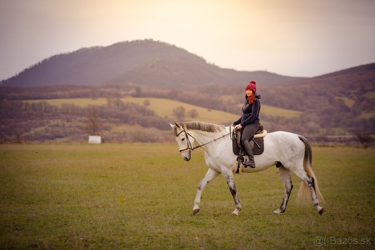 Hľadáme stajníka/stajníčku - 2