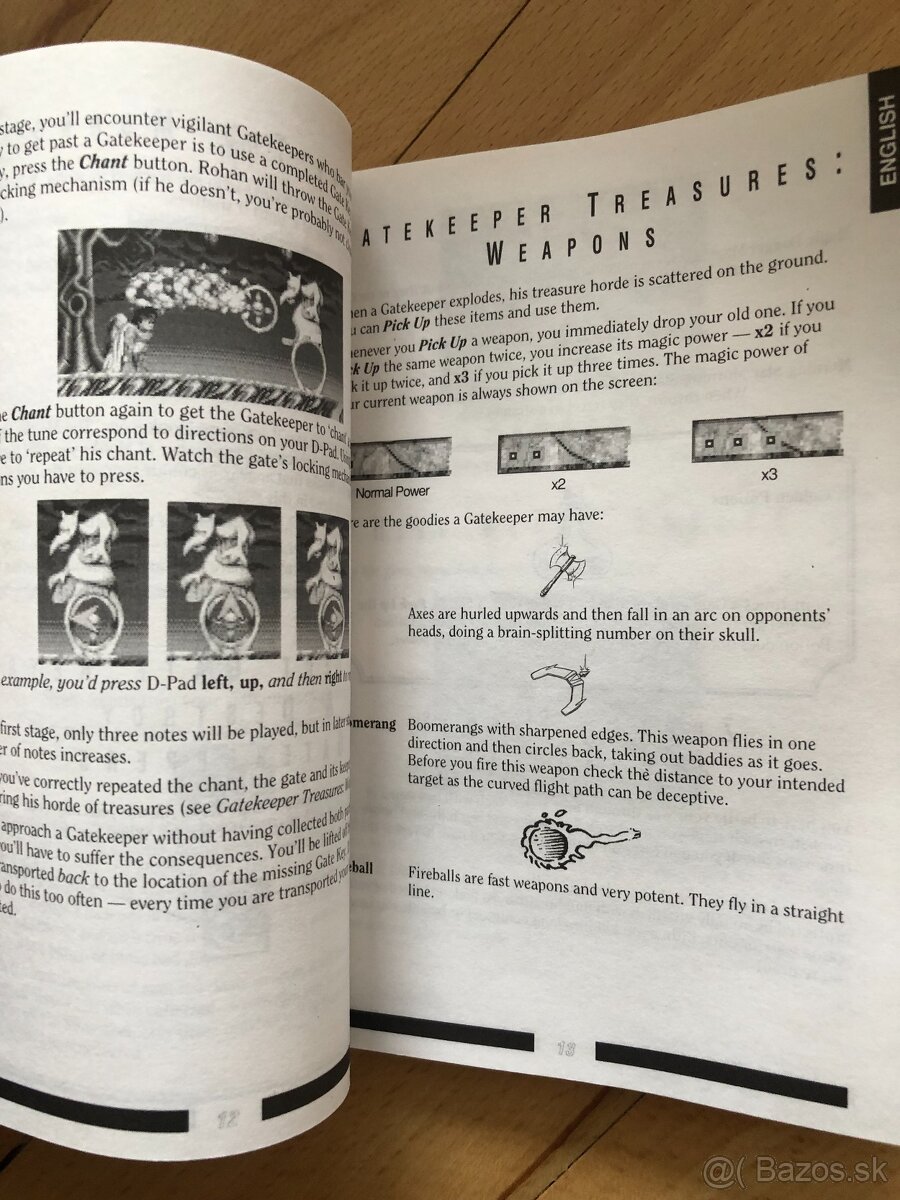 RISKY WOODS - MEGA DRIVE - manual - 2