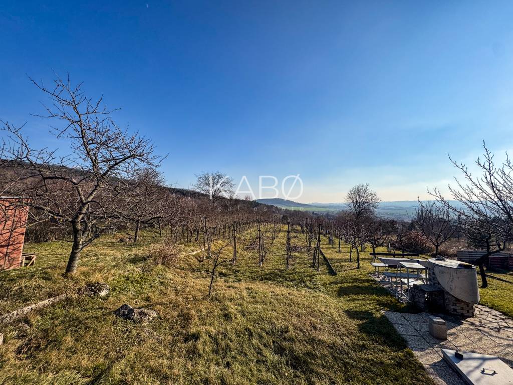 Krásna vinica pri Nitre - 895 m2 - 2