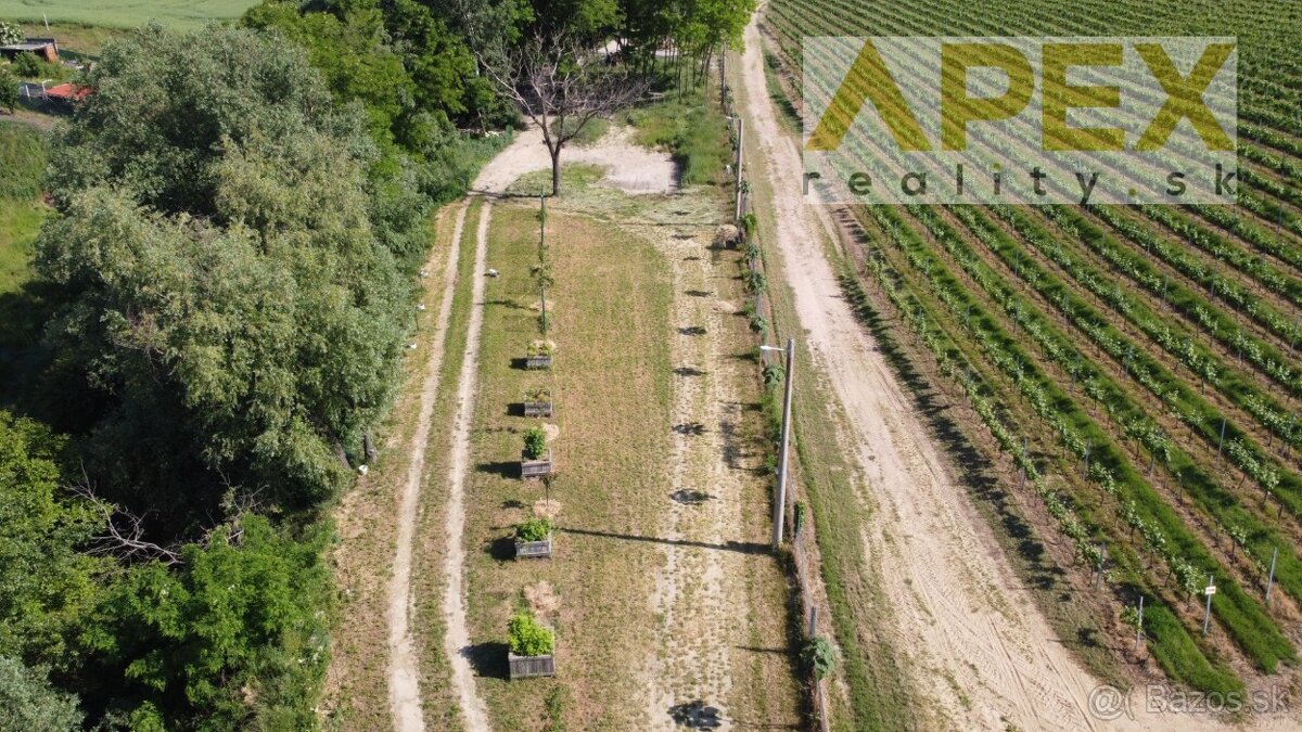 APEX reality stavebný pozemok 2019 m2 v obci Bojničky - 2