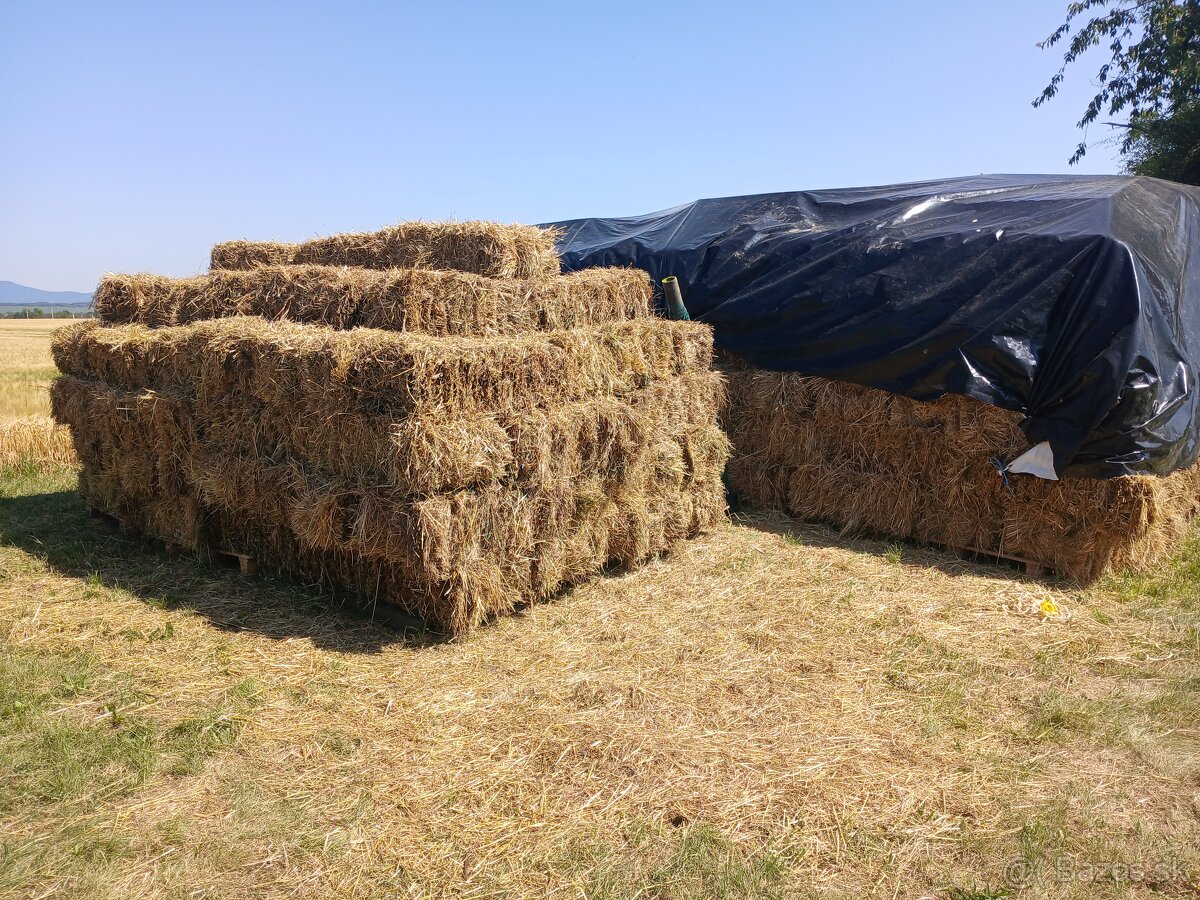 Predám malé balíky sena - 2