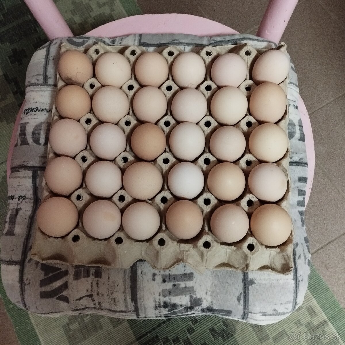 Australorpka nasadove vajíčka - 2