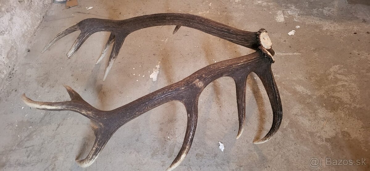 Jelenia parka.14 torak.zhody.parohy - 2