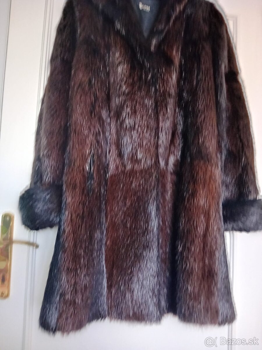 Kožuch (nutria) - 2