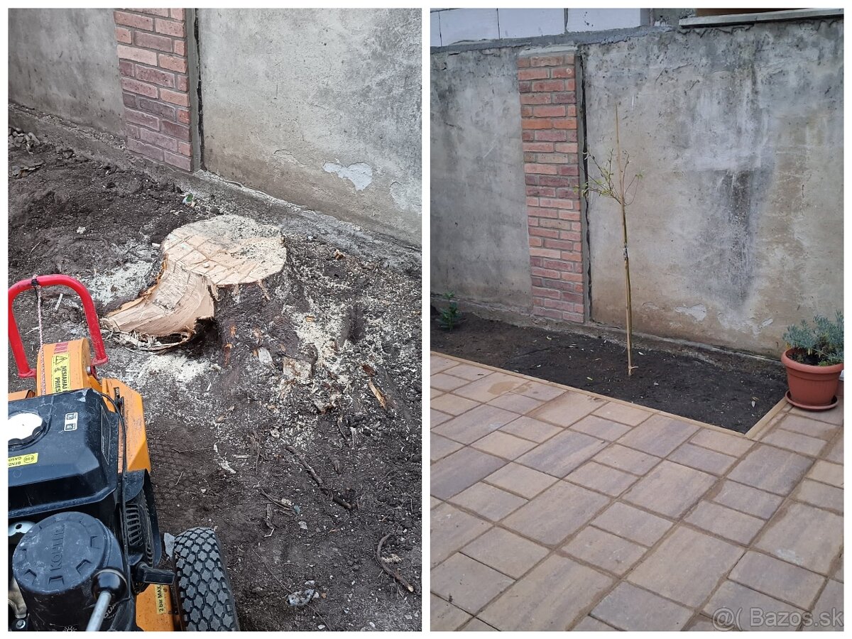 Frézovanie pňov a výrub - 2