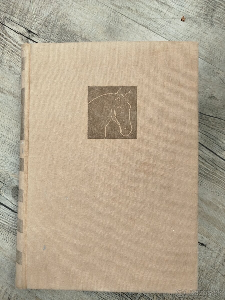 Specialni zootechnika- Chov koni - 2