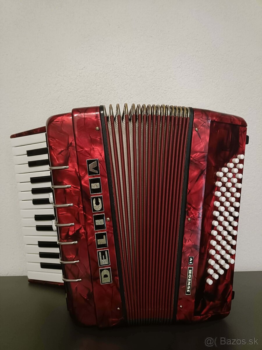 Akordeon Delicia Junior 4 - 2