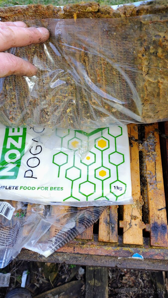 Včely rámikova miera B - 2