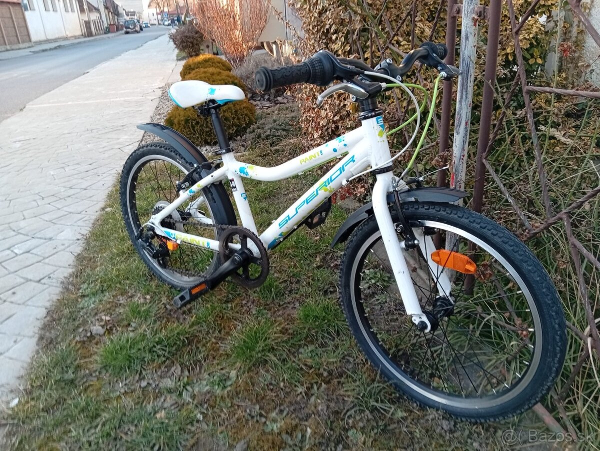 Superior Paint 20 - 2