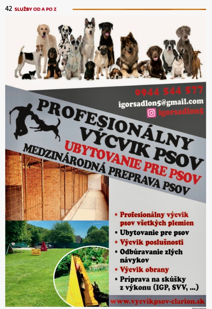 PROFESIONÁLNY VYCVIK PSOV A UBYTOVANIE - 2