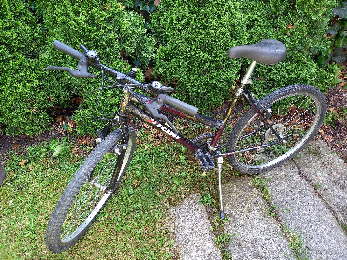 bicykel VICINI - 2