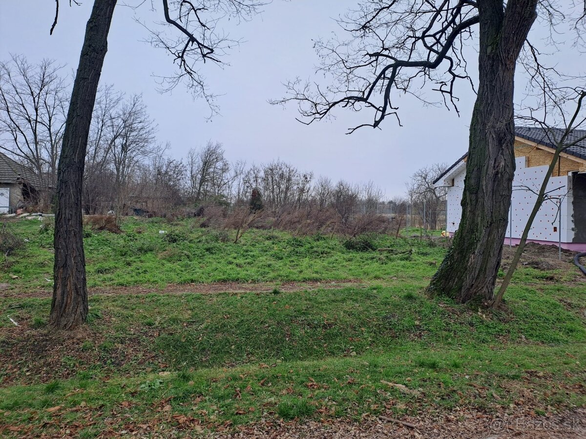 Stavebný pozemok v Seliciach - 2