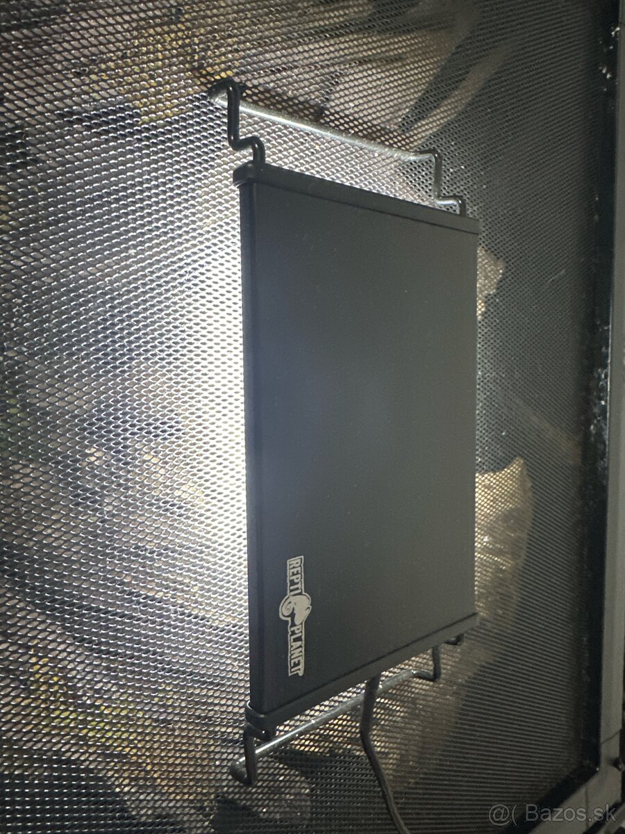 Terarium + Pagekon Riasnatý - 2