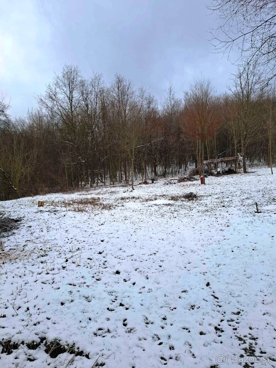 Záhrada Horenice 2263 m2 - 2