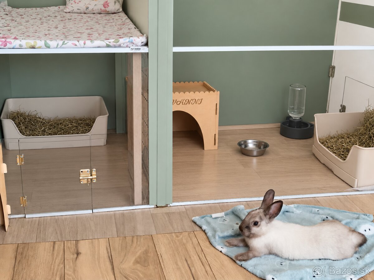 Snežinka hľadá domov 🐰🤍 - 2