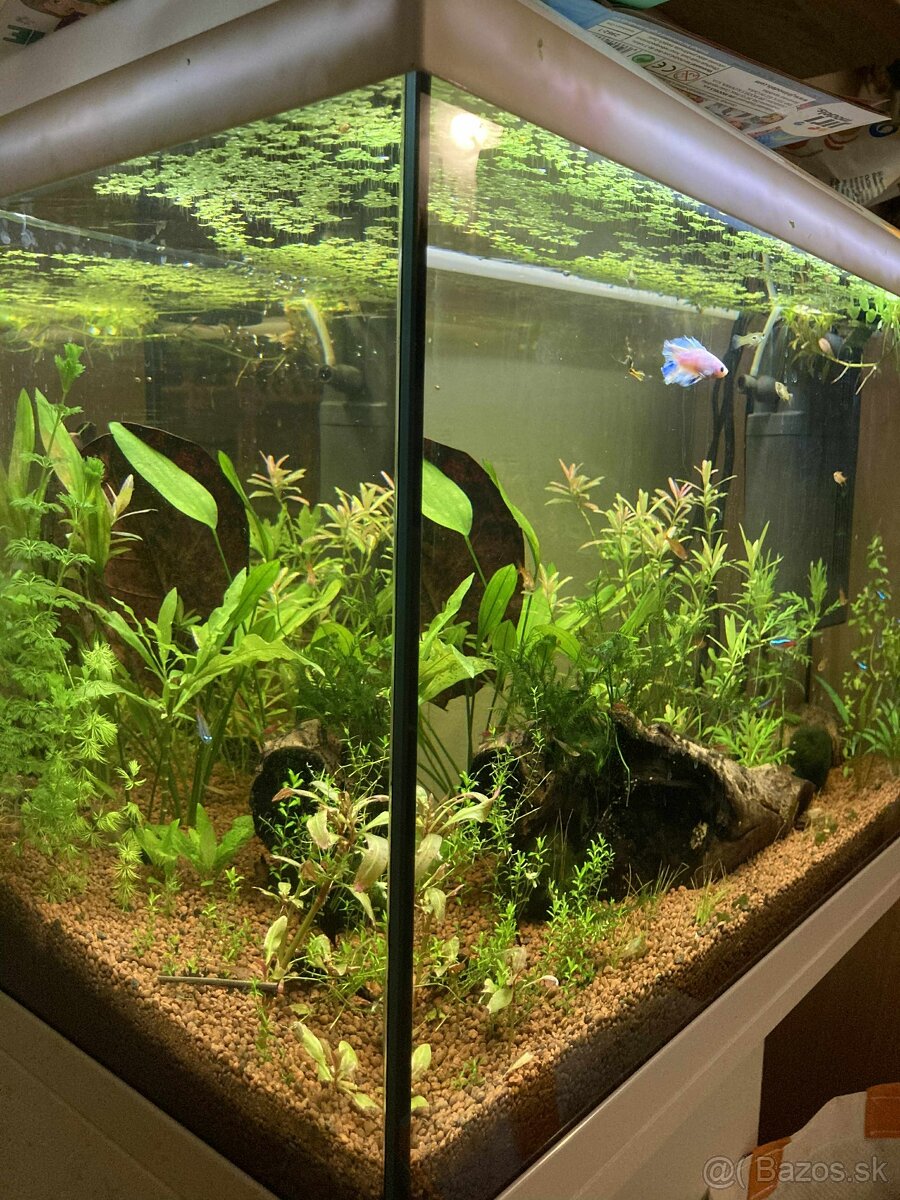 Akvárium 70L - 2