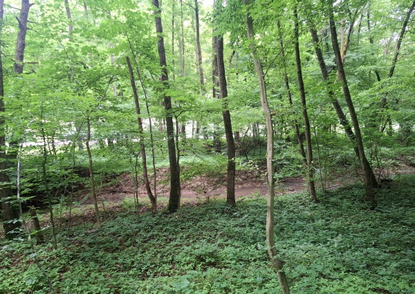 Predám pozemok v Antonstáli - 2