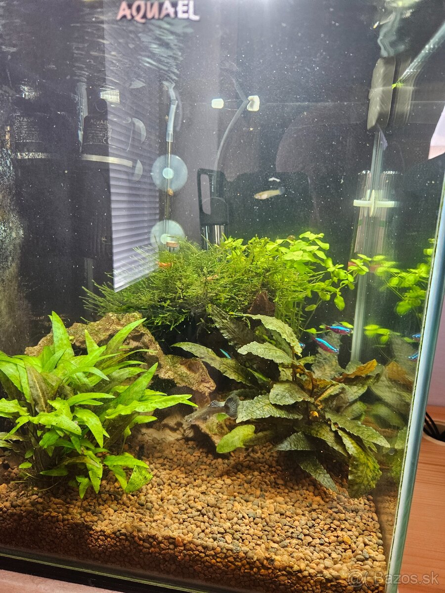 Predám akvárium + príslušenstvo - 2