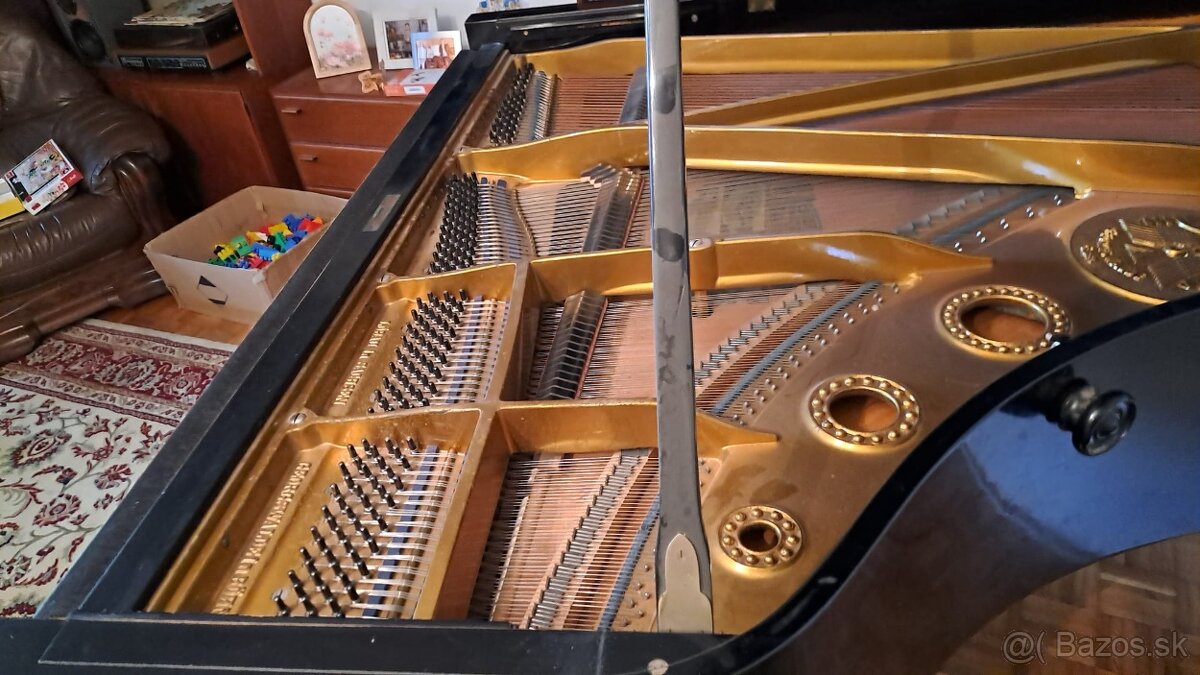 Krídlo August Förster - 2