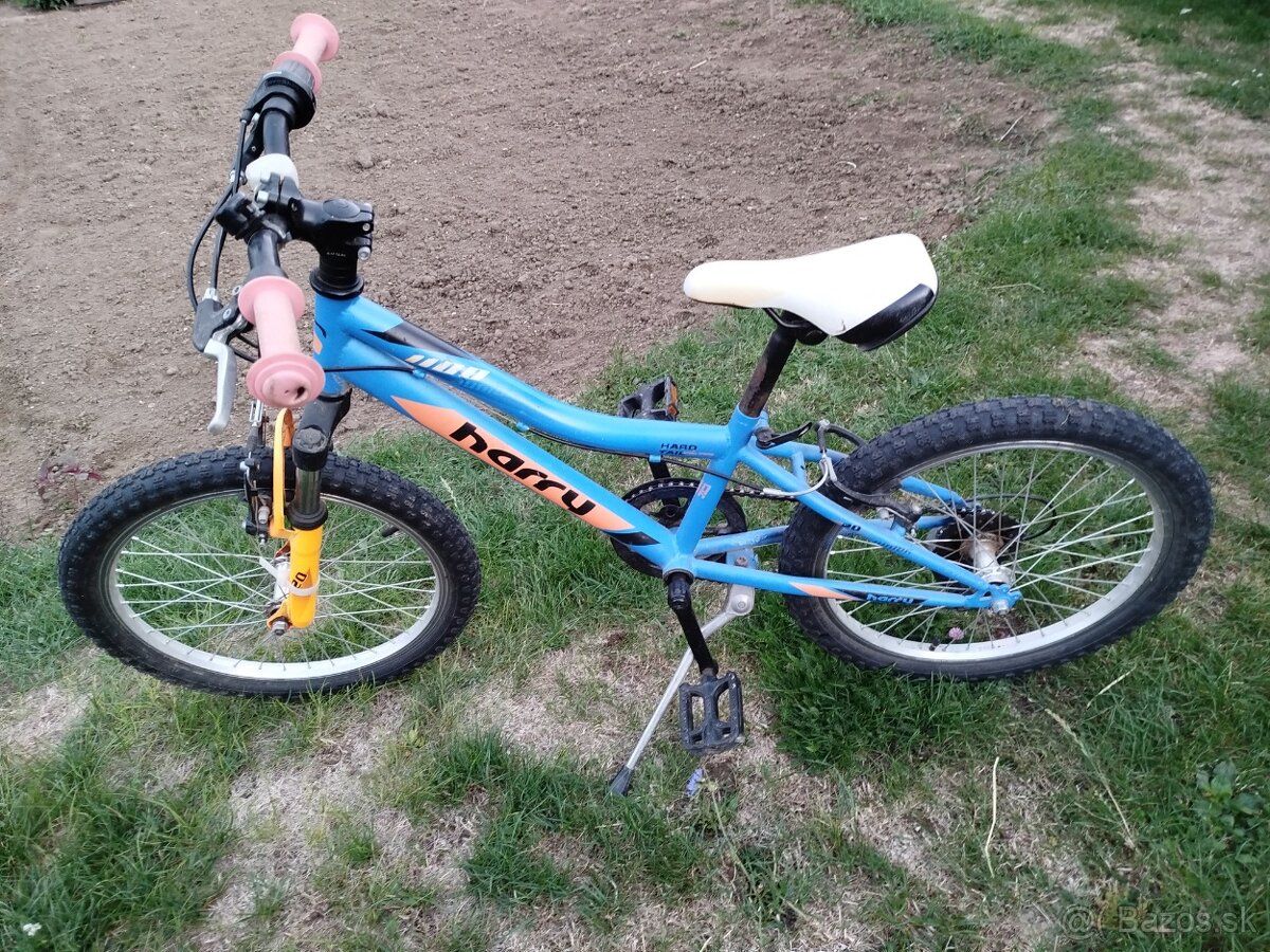 Detský bicykel Harry 20 - 2